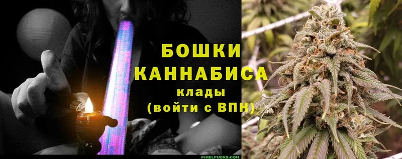 Шишки марихуана Amnesia  купить  сайты  Юрьев-Польский 